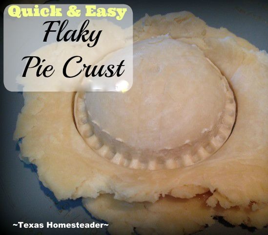 No need to buy Pie Crust, it's super easy to make yourself. This recipe yields me a tender flaky crust every time. Quick, Easy & Inexpensive! #TexasHomesteader