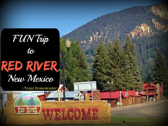 Although Red River, NM is probably best known for its ski facilities. But I much prefer to visit in the summer, it's absolutely beautiful! We visited surrounding areas too. Check out the FUN! #TexasHomesteader