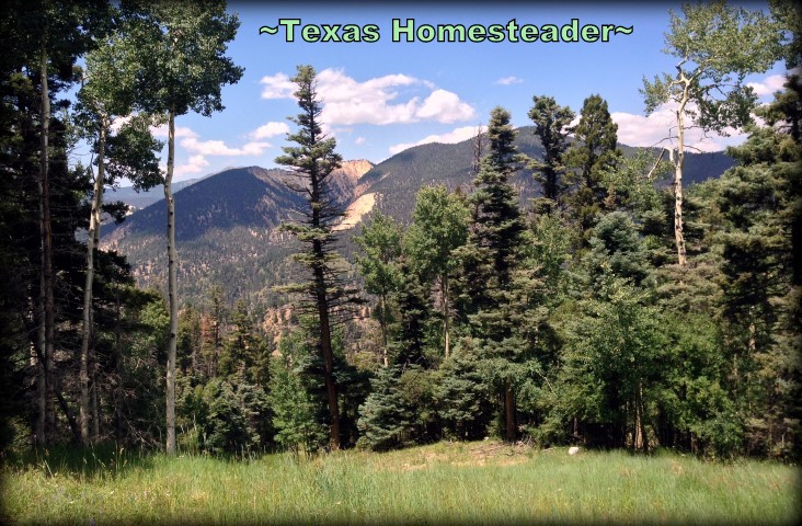 Although Red River, NM is probably best known for its ski facilities. But I much prefer to visit in the summer, it's absolutely beautiful! We visited surrounding areas too. Check out the FUN! #TexasHomesteader