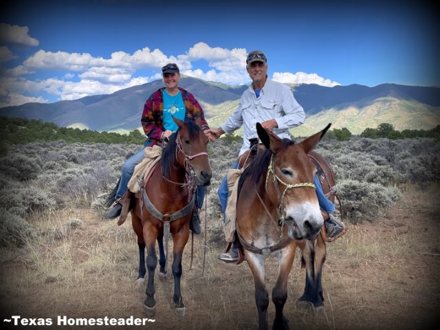Rio Grande Stables Horseback Riding Cebola Mesa - Taos, NM #TexasHomesteader