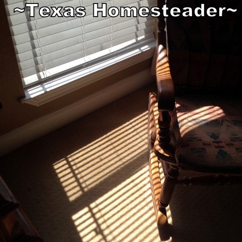 Keeping warm: Allow sun to shine through windows to bring heat inside. #TexasHomesteader