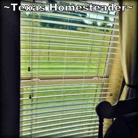 Blinds positioned to let in light, not heat. There's a right & wrong way to position mini blinds to allow light into your home while blocking the sun's heat Check this Homestead Hack and STAY COOL! #TexasHomesteader