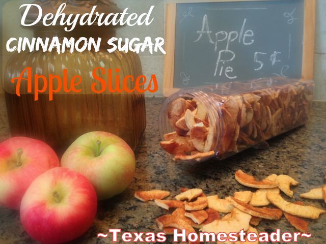 Fresh apple slices sprinkled with cinnamon sugar and dehydrated for a tasty healthy snack! #TexasHomesteader