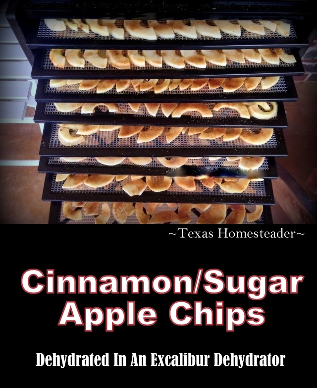 DEHYDRATED CINNAMON/SUGAR APPLE CHIPS - A Crispy Delicious And Healthy Snack For Your Family. Preserve The Harvest! #TexasHomesteader