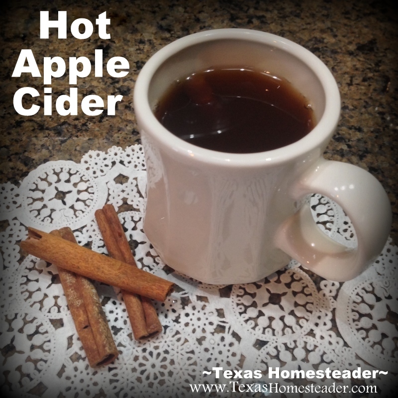 HOMEMADE APPLE CIDER preserved in a water-bath canner. I can enjoy it all winter, steaming hot in a mug and stirred w/a cinnamon stick #TexasHomesteader