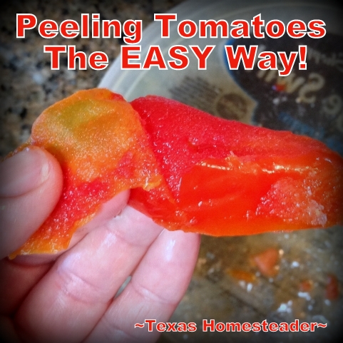 It's easy to peel garden tomatoes that have been previously frozen. #TexasHomesteader