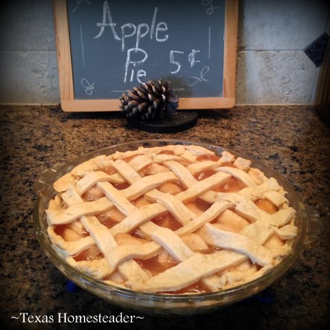 HOMEMADE APPLE PIE Made With Home-Canned Apples. Since the apples have already been processed through canning, this dessert is quick! #TexasHomesteader