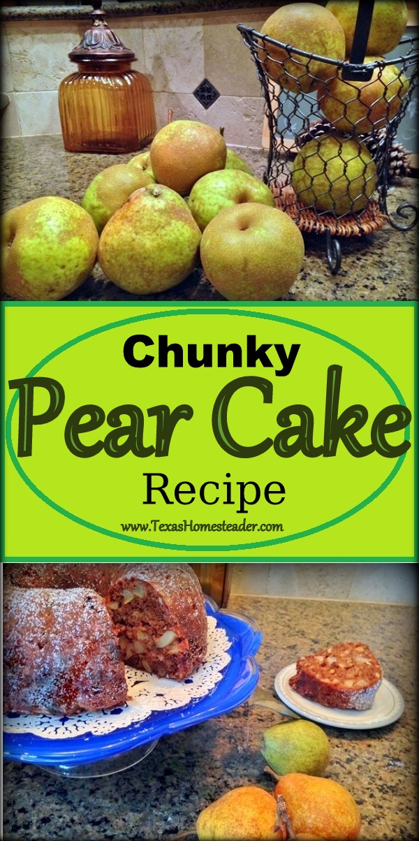 Taste of Fall: FRESH PEAR CAKE. Pear cake?? It's delicious, all pear/cinnamon fall tasting. A great way to use this season's pears #TexasHomesteader