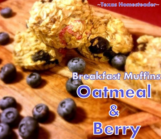 Easy SUGAR-FREE Oatmeal & Berry Muffin recipe, healthy as well as sweet enough that they would work for snack or healthy breakfast. #TexasHomesteader