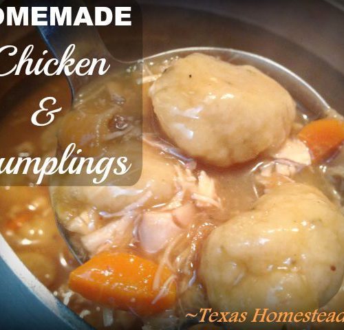 https://texashomesteader.com/wp-content/uploads/2015/11/Chicken-and-Dumplings-TexasHomesteader-500x480.jpg