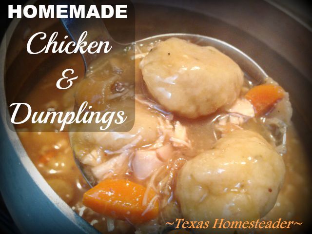 Old Fashioned Chicken and Dumplings - Granny's in the Kitchen