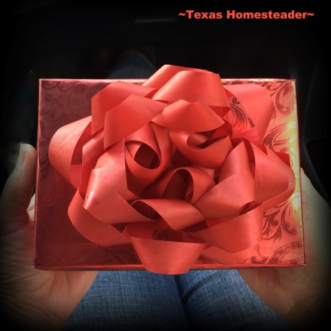 Gift present red box and bow. #TexasHomesteader