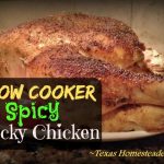 Slow cooker spicy sticky chicken recipe. #TexasHomesteader