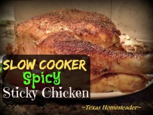 Cooking a Whole Chicken In A Slow Cooker. Today I'm sharing with you the TOP 10 Homesteading Posts of the Year! Curious to see the most popular posts? #TexasHomesteader