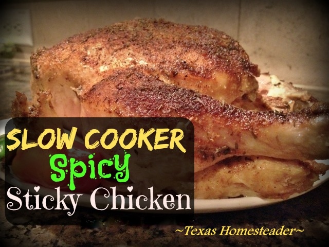 Whole chicken perfectly seasoned and cooked to spicy perfection in a slow-cooker while you're away. Home-Cooked Goodness In A SNAP! #TexasHomesteader