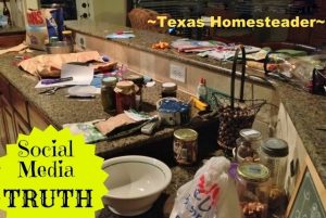 The Truth Behind Perfect Posts. Today I'm sharing with you the TOP 10 Homesteading Posts of the Year! Curious to see the most popular posts? #TexasHomesteader