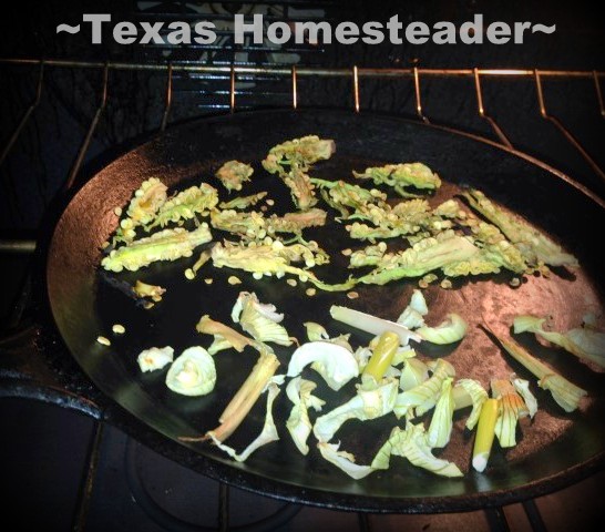 Homestead Hack: I'm using residual heat to dehydrate small amounts of food for FREE! #TexasHomesteader