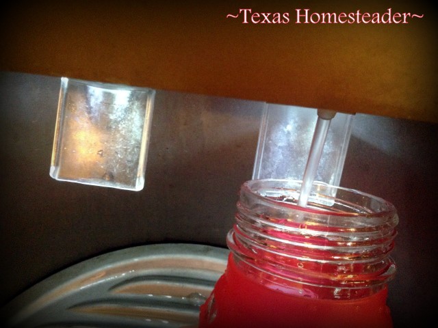 Easy to fill. I hate plastic, and I hate disposable water bottles or cups. I'm reviewing a 60% Recycled GLASS reusable water bottle - see what I found. #TexasHomesteader