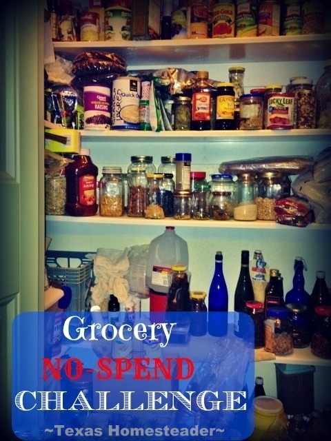 30-DAY GROCERY NO-SPEND CHALLENGE! No money spent on food for a full month - see how we survived week 3. Tips & recipes included! #TexasHomesteader
