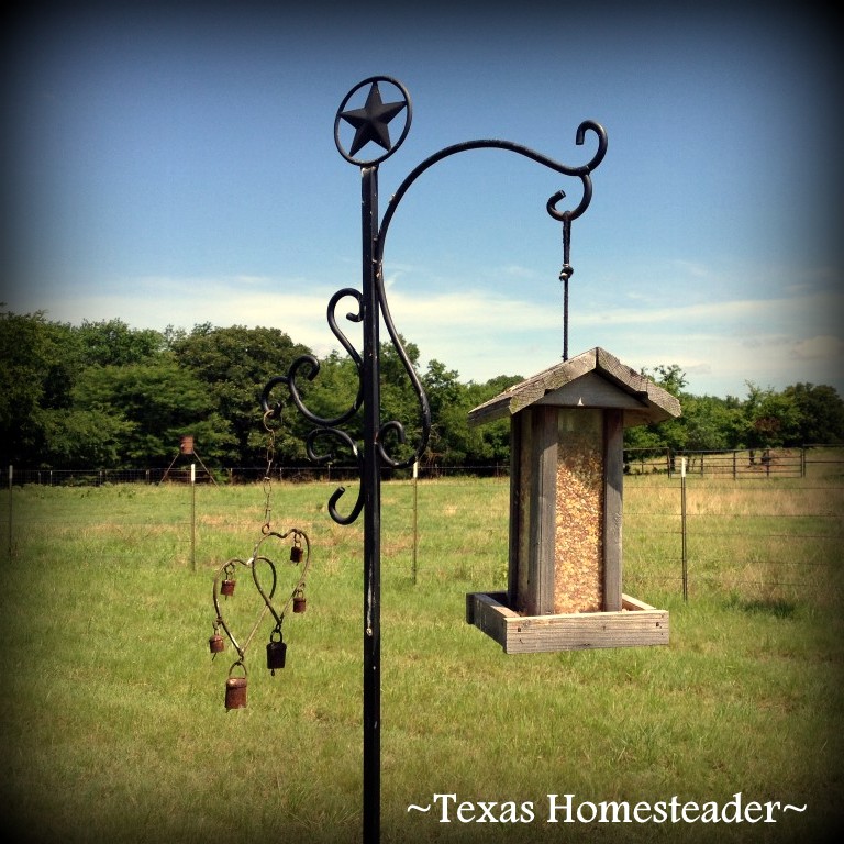 Bird feeder filled with inexpensive birdseed. Looking for simple, inexpensive Mother's Day gifts for your eco-conscious mom? We've made a list of our favorites. #TexasHomesteader