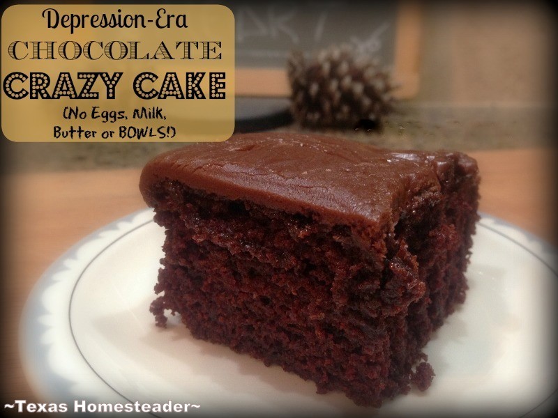 DEPRESSION-ERA CHOCOLATE CRAZY CAKE RECIPE - no eggs, butter, milk or even BOWLS! Quick & easy with BONUS no-cook chocolate frosting recipe! #TexasHomesteader