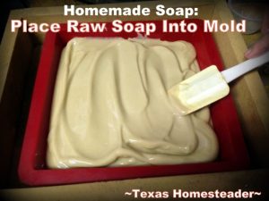 Raw Shampoo Soap Into Mold. VANILLA SCENTED SHAMPOO SOAP BARS - See our cold-process soap recipe and procedures (including photos) for making your own shampoo bars. #TexasHomesteader