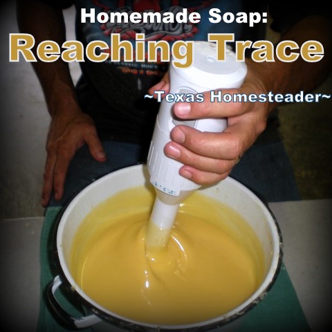 Homemade Soap - reaching trace. COLD PROCESS LAVENDER / ROSEMARY SOAP. Making homemade soap is easy and fun, and makes great gifts! See my recipe complete with photos. #TexasHomesteader