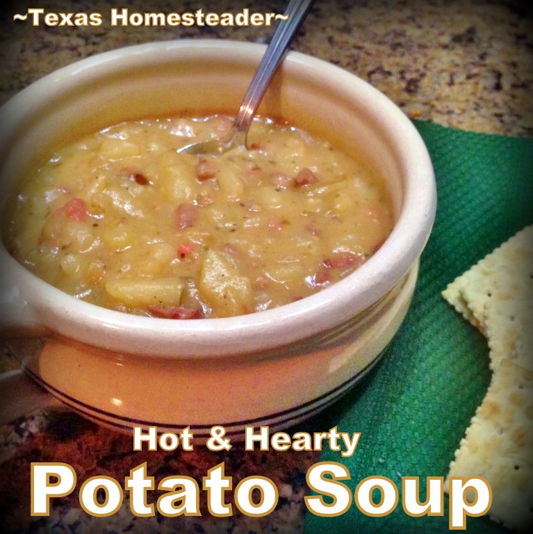 MEATY POTATO SOUP For An Inexpensive Bone-Warming Meal. This Soup Cost Just Pennies But There Was Enough Left For Us To Eat Several meals #TexasHomesteader