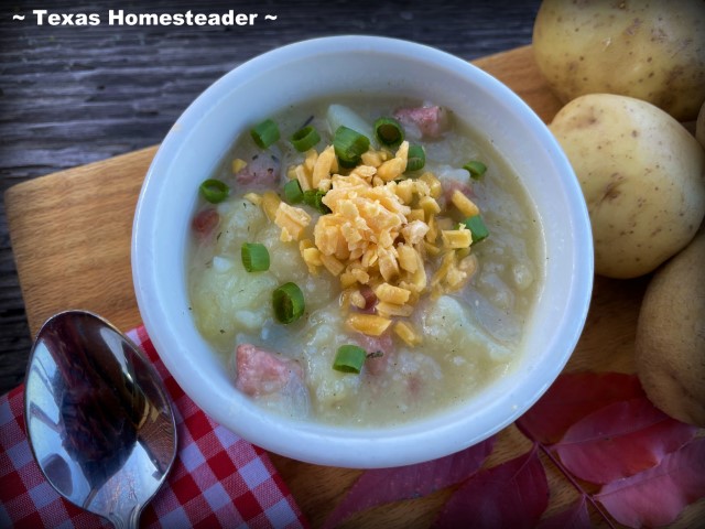 Potato soup and smoked sausage with cheese and chives in round white bowl. #TexasHomesteader