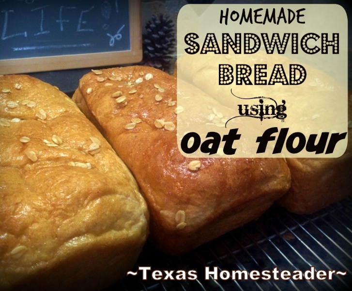 SOFT HONEY OAT SANDWICH BREAD. I've amended our favorite KitchenAid bread to include a bit of oat flour. The result is DELICIOUS! #TexasHomesteader