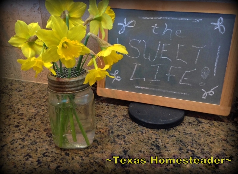 Glass Jars - Vintage canning jar vase. WHISPERS OF PAST LIVES: The previous homesteaders home burned back in the 1950's, but I can read their stories by what they left behind #TexasHomesteader