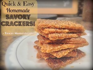 Easy cracker recipes. Come see all our favorite bread recipes in one easy-to-read list. Traditional bread, tortillas, biscuits and more! #TexasHomesteader