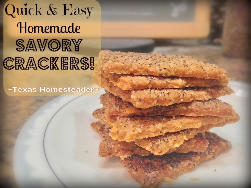 RECIPE: EASY SAVORY HOMEMADE CRACKERS - heavier than a saltine they worked perfectly for my homemade hummus. Give 'em a try! #TexasHomesteader
