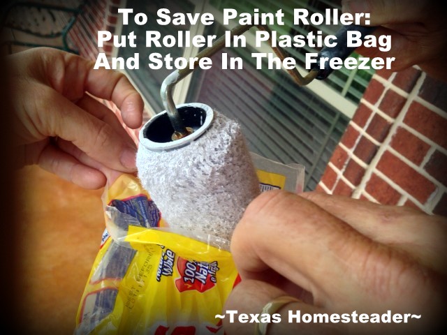 Homestead Hack: EASILY SAVING PAINTING SUPPLIES - see how we preserve brushes to resume painting at a later date - you're gonna love this! #TexasHomesteader