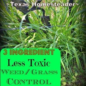 I use epsom salt, vinegar and dish soap to kill weeds. #TexasHomesteader