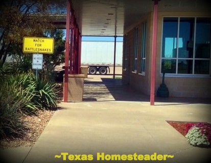 A Trip was certainly fun but there's NO place like home! We love our ranch in Northeast Texas - There's no place like home! #TexasHomesteader