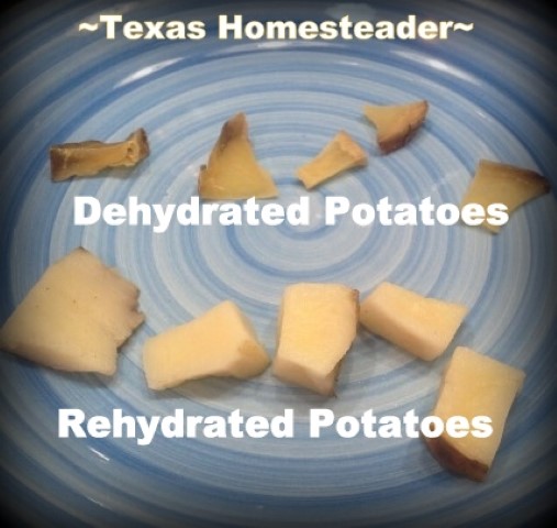 Dehydrated cubed potatoes on top compared to REhydrated potatoes on bottom of photo. #TexasHomesteader