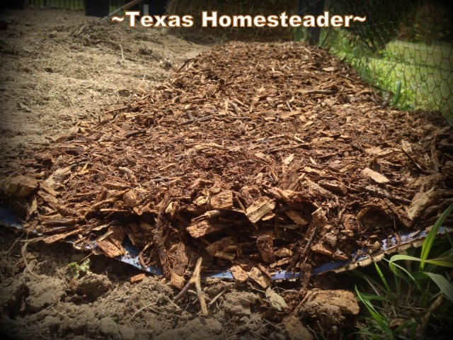 Heavy feed sacks topped with wood mulch help eliminate weeding in the garden walkways. #TexasHomesteader