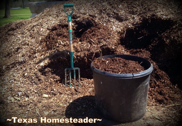 We fill a large 30-gallon tub with free chopped wood mulch for our garden. #TexasHomesteader