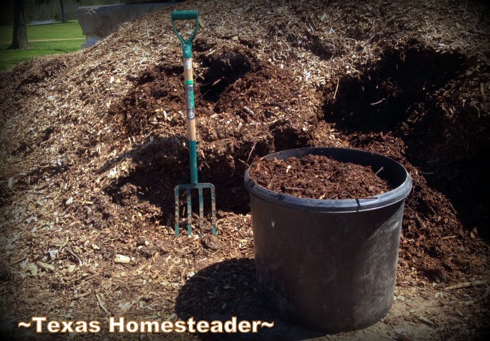 Plastic Free July is going great. There are a few stumbles, but many successes. How do YOU eliminate plastic from your home? #TexasHomesteader