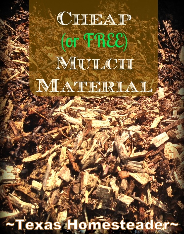 Don't assume your only option is to buy mulch! Check with your city, utility company or local extension agent & you could get it FREE! #TexasHomesteader