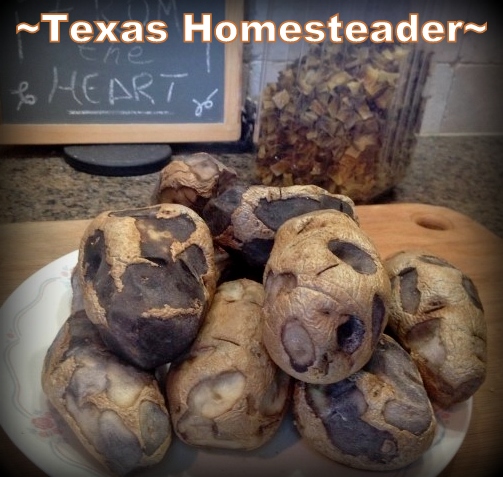 Potatoes not cooked long enough will turn black where cut. #TexasHomesteader