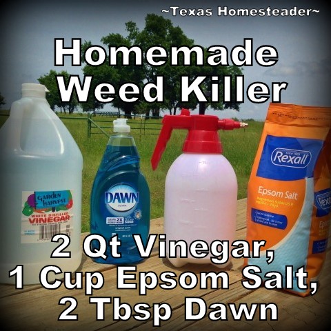 A Non-Toxic weed killer in the garden! I wonder if I can use a less toxic grass & weed control... As it turns out, YES! #TexasHomesteader
