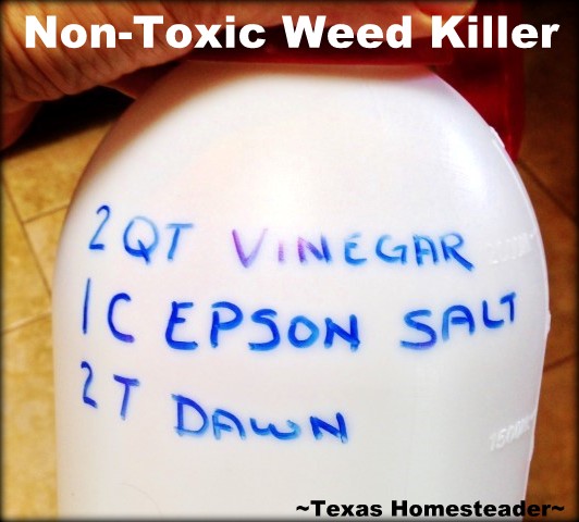 A Non-Toxic weed killer in the garden! I wonder if I can use a less toxic grass & weed control... As it turns out, YES! #TexasHomesteader