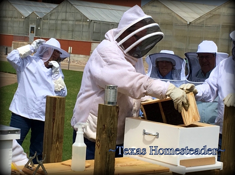 beekeeping protective clothing. #TexasHomesteader