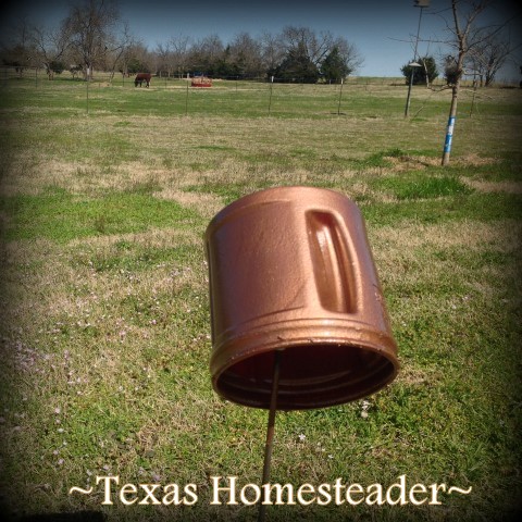 Painting coffee canister. She pulls a plastic coffee can out of the recycling and when she's through? I LOVE this planter! Quick. Easy. CUTE! #TexasHomesteader