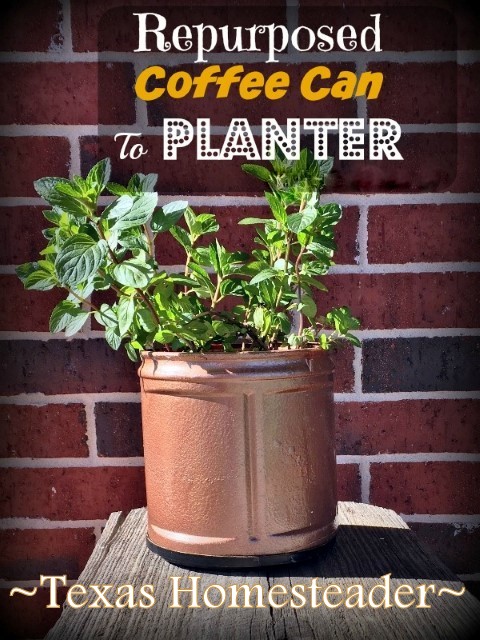 She pulls a plastic coffee can out of the recycling and when she's through? I LOVE this planter! Quick. Easy. CUTE! #TexasHomesteader