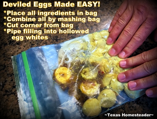 Deviled Eggs - ingredients in zippered bag. #TexasHomesteader
