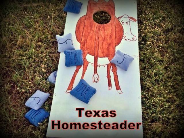 A low-waste party game option - custom-made cornhole game and denim bags. #TexasHomesteader
