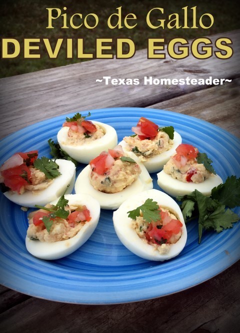 Homestead Hack: Deviled eggs using pico de gallo to give them a kick. Give it a try, it's a delicious spicy twist on an old favorite! #TexasHomesteader